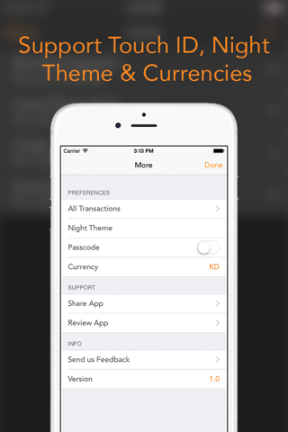 Simple-Budget - náhled
