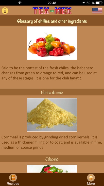 Tex-Mex Recipies screenshot-4