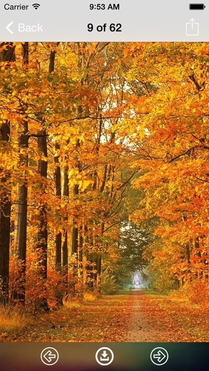 Autumn Wallpaper: Best HD Wallpapers
