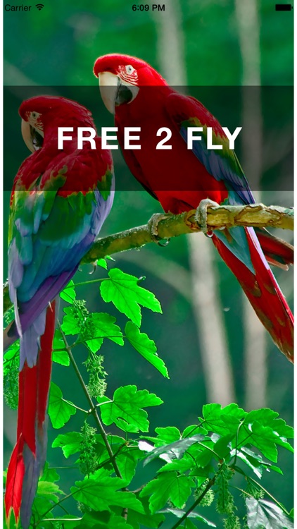 FREE 2 FLY