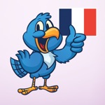 Speak French - Free Language Tutor with Native Voice and Flashcards
