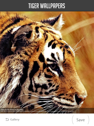 Screenshot #5 pour Tiger Wallpaper