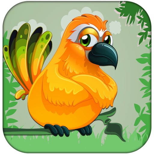 Bird In Basket - Fun Cute Chick Attack iOS App