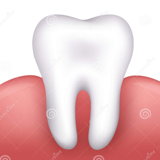 Dental terminology & flashcard:medical facts sheet and definition with video illustrations