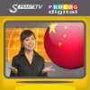 CHINESE - Speakit.tv (Video Course) (7X006ol)