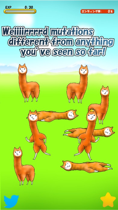 Alpaca Evolution Begins Screenshot 2