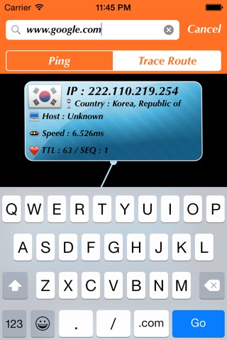 Net Checker - Ping/Trace Route screenshot 3