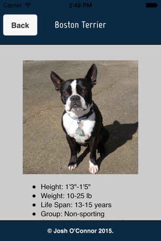 Dog Breeds 101 screenshot 3