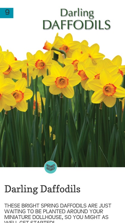 Springtime Flowers in Miniature screenshot-3