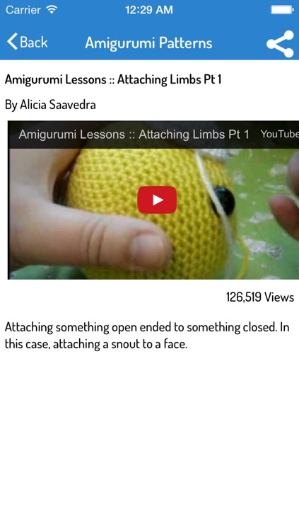 How To Do Amigurumi - Best Video Guide screenshot-3