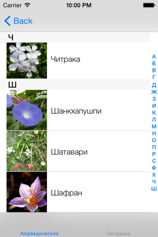Карманный справочник Аюрведы screenshot 3
