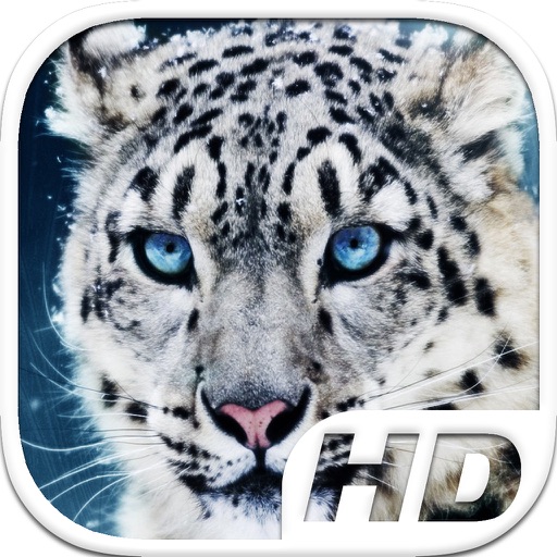 Snow Leopard Simulator HD Animal Life icon