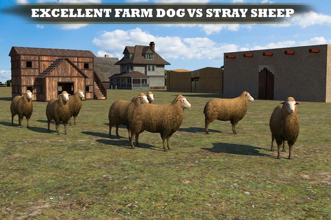 Farm Dog vs Stray Sheep screenshot 2