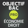 BAC PRO ECONOMIE DROIT 2015, Objectif Bac PRO pour réussir son bac pro tertiaire