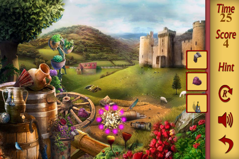 Hidden Objects Kingdom Conspiracy screenshot 4