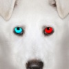 Husky 3D PRO