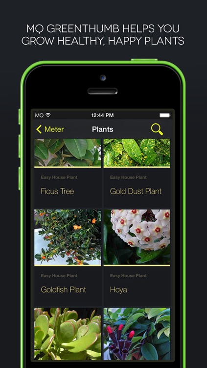 MQ GreenThumb
