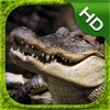 Crocodile Simulator - HD