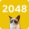 2048 Cats Version