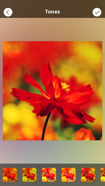 Gif Animator ++