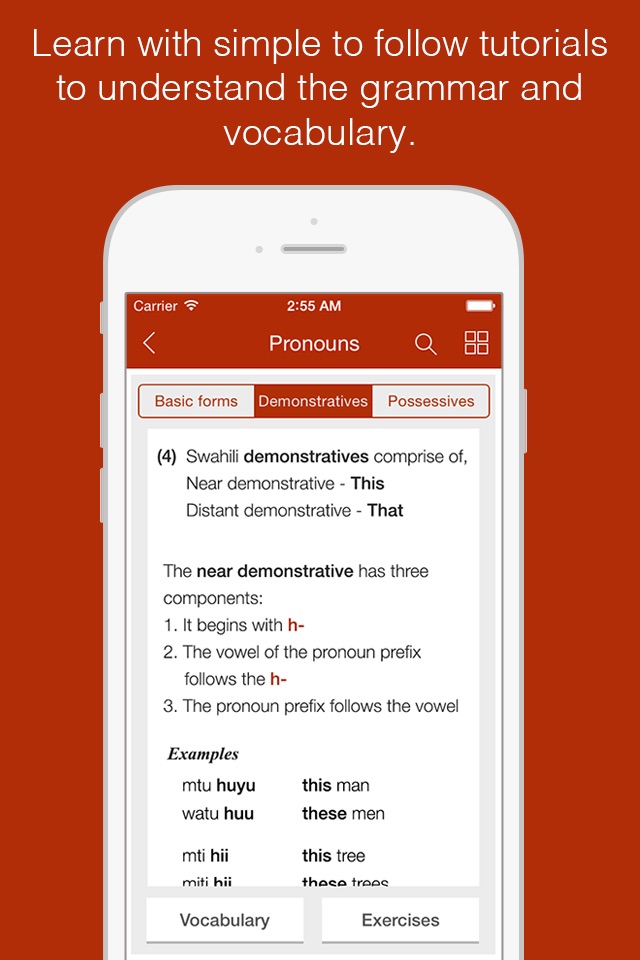 Swahili Primer - Learn To Speak And Write Swahili Language: Grammar, Vocabulary & Exercises screenshot 2