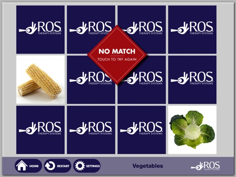 R.O.S. Memory Game screenshot 3