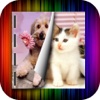 Best Dog Wallpapers+ for iPhone Swift: Customize Animal Background using Shelves and Frames