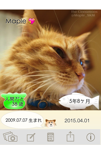 HowOldCat? Save pictures calculating the age of the pet Cat. screenshot 3