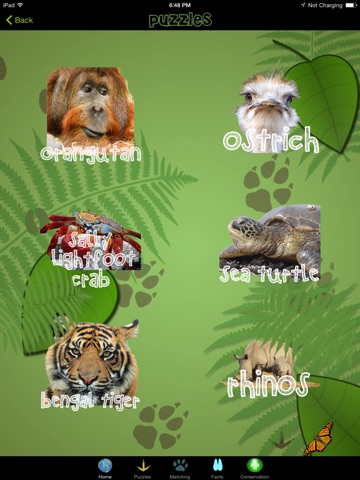 World Animals Fun! Puzzles, Matching & Fun Facts! screenshot 2