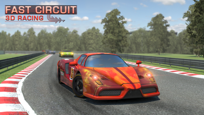 Fast Circuit 3D Racingのおすすめ画像1