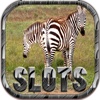 Best Zebra Serie Slots Machine - FREE Casino Machine For Test Your Lucky