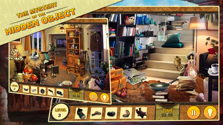 The Mystery of the HIDDEN OBJECTS