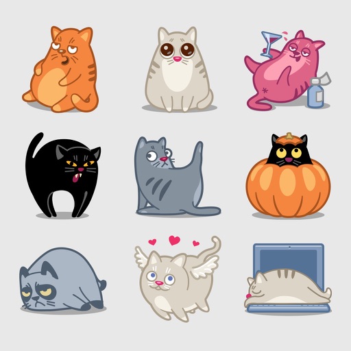Connect Cat ALL Icon