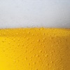 Beer 101: Quick Study Reference with Video Lessons and Tasting Guide