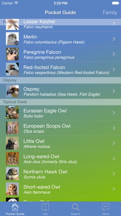 Pocket Guide UK Birds of Prey