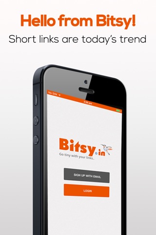 Bitsy.in screenshot 2