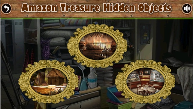 Amazon Treasure Hidden Objects(圖4)-速報App