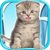 Talking Kitten - Play Time &amp; Fun Games FREE