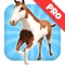 Horse Ride: Wild Trail Run & Jump Game - Pro Edition