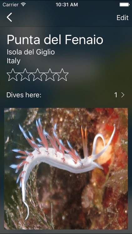 Divers Book -The dive log for scuba divers