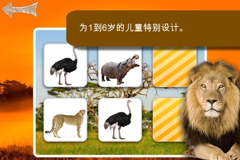 Free Memo Game Wild Animals Photo screenshot 2