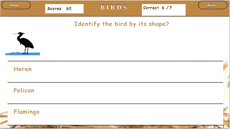 Elementary Kids Science Quiz screenshot-3