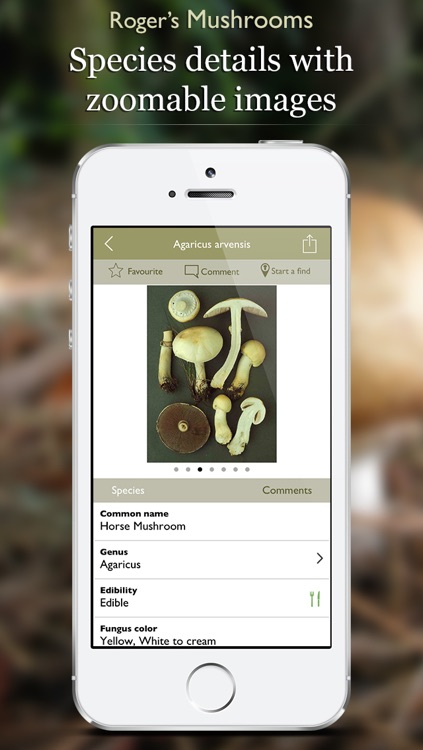 Roger's Mushrooms (Pro)