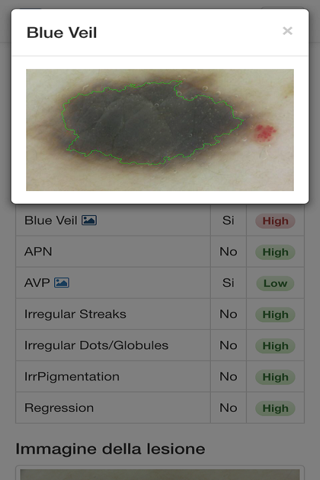 I3dermoscopya screenshot 4
