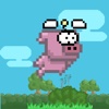 Acrobatic Pig - Swing Fly Training HD