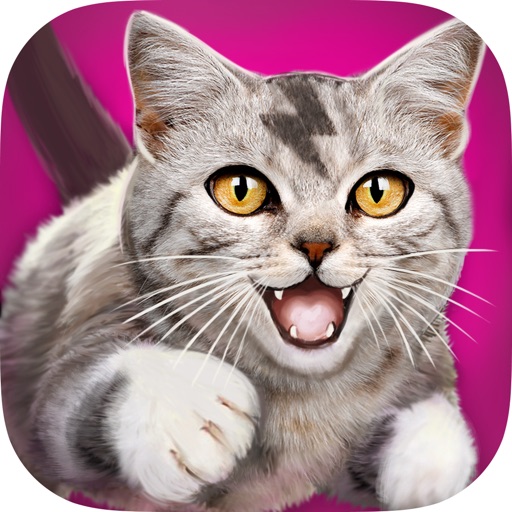 Cat Chase 3D PRO iOS App