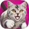 Cat Chase 3D PRO