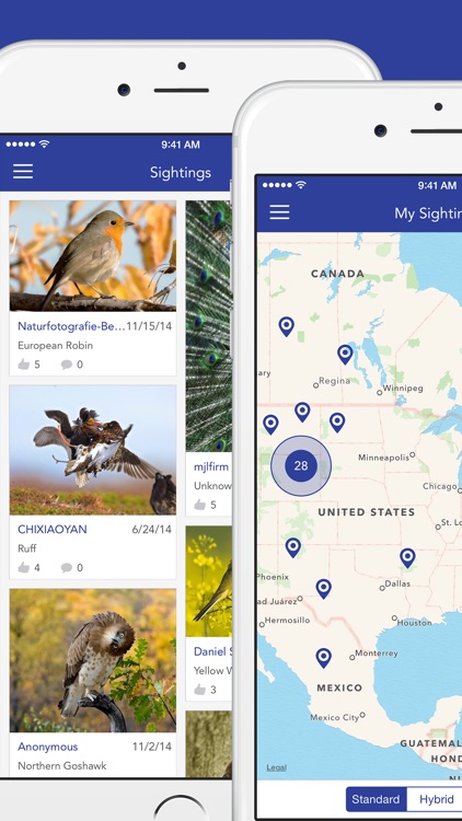 iKnow Birds 2 PRO - The Field Guide to the Birds of North America screenshot-4