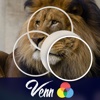 Venn Lions: Overlapping Jigsaw Puzzles