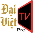 DaiVietMediaPro